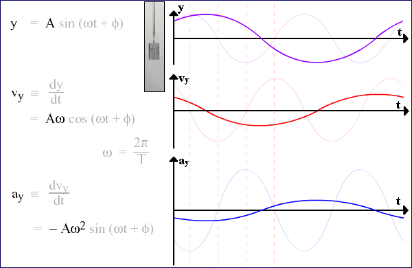 Displacement, velocity and acceleration graphs for SHM