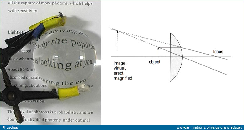 Magnification, Microscopy, Optics & Lenses