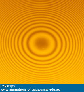 Interference - Newton's rings: Physclips - Light